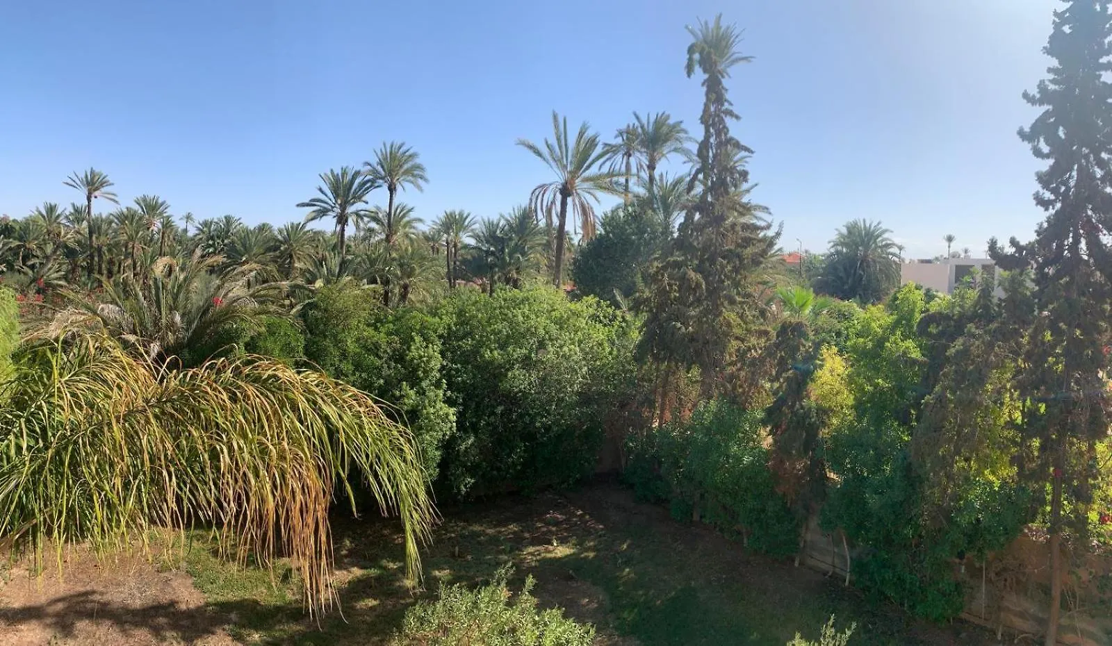 מרקש Villa Palmeraire Marrakech, Private Pool, Private Hamam 0*,  מרוקו
