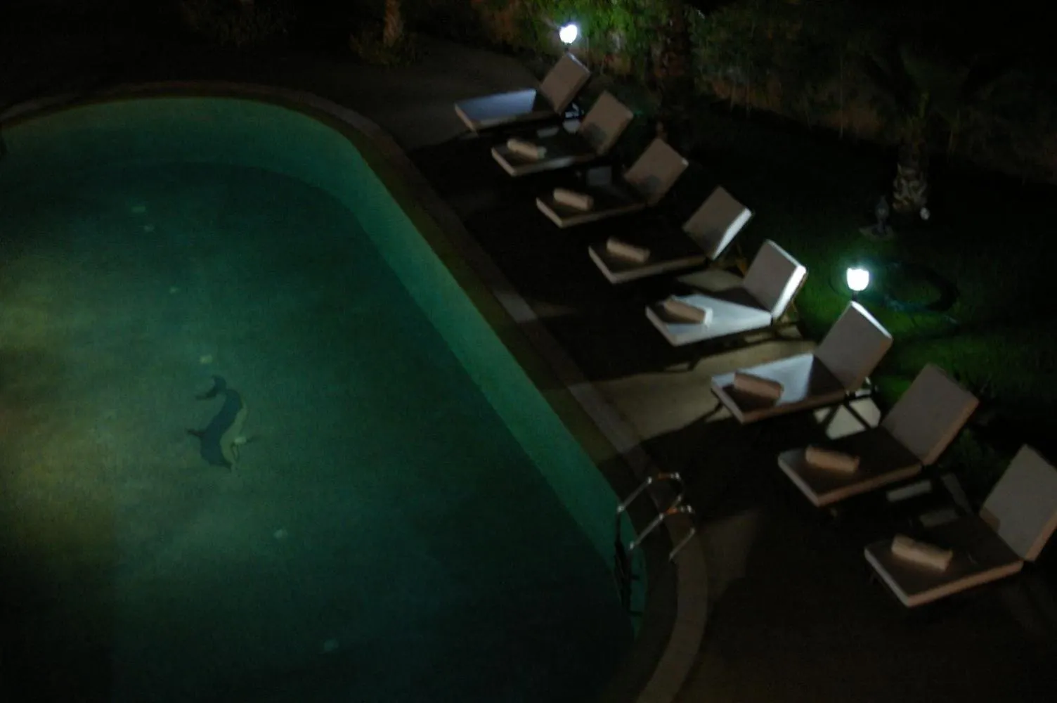 Villa Palmeraire Marrakech, Private Pool, Private Hamam Marrakesh
